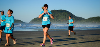 2308 corrida 340