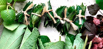 2004 saberes e sabores