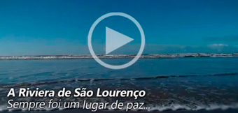 2006 video aarsl