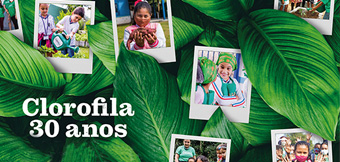 2209 clorofila 30 anos 340