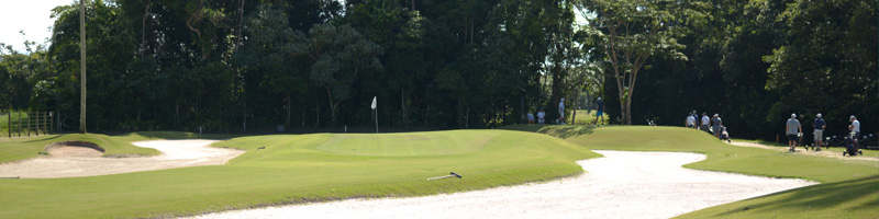 2301 golf 800