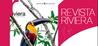 revista riviera ed34 400x509 1