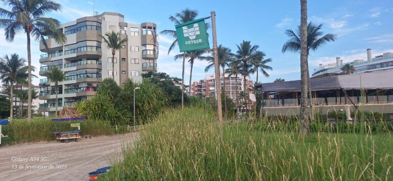 2502 bandeira verde