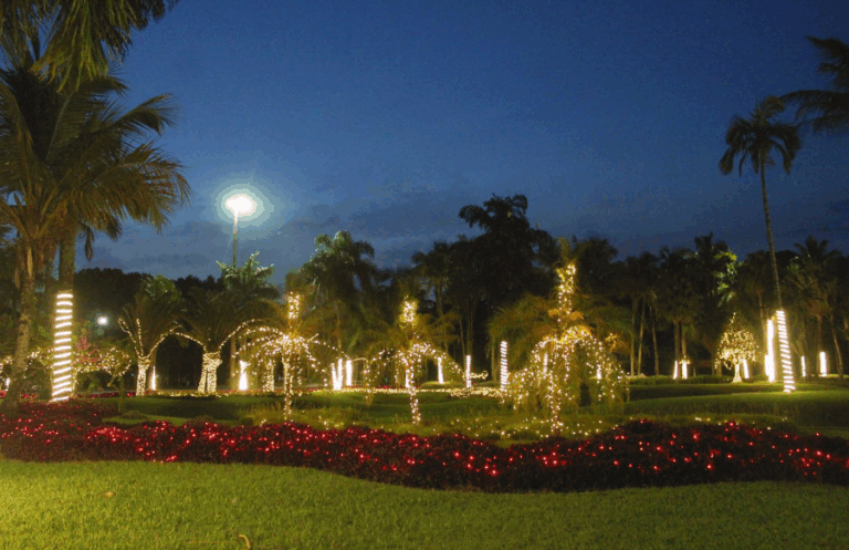 2511 decoracao natal