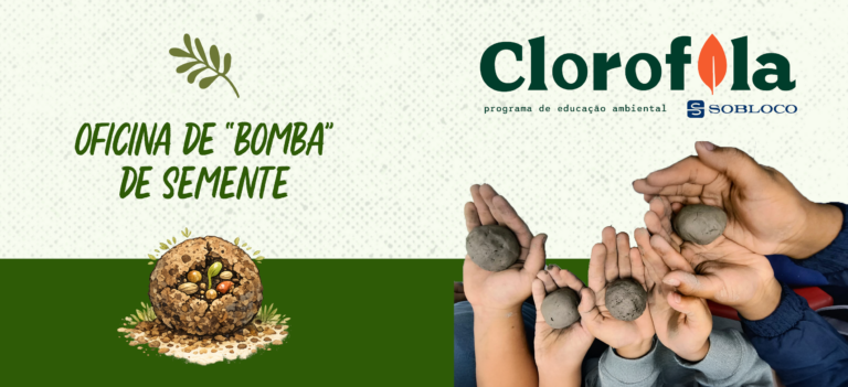 bomba de semente