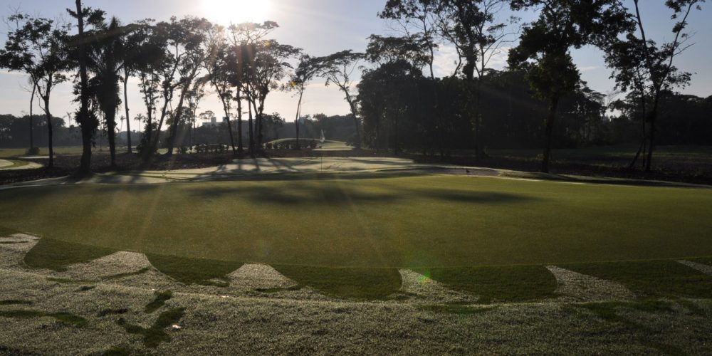 DSC_0796-bx (Grande)