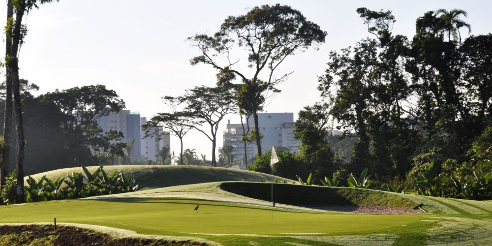 DSC_0799-bx (Grande)