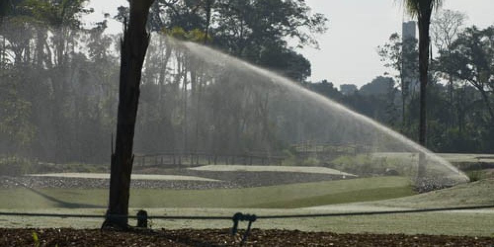 DUZ9168-copy (Grande)