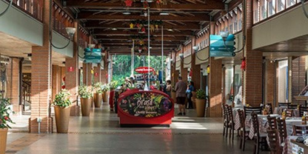 galeria-shopping (1) (Grande)