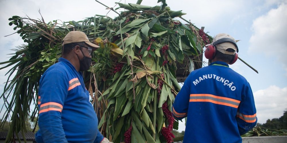 gestao-residuos-galeria (13) (Grande)