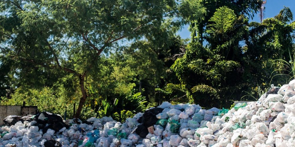 gestao-residuos-galeria (25) (Grande)