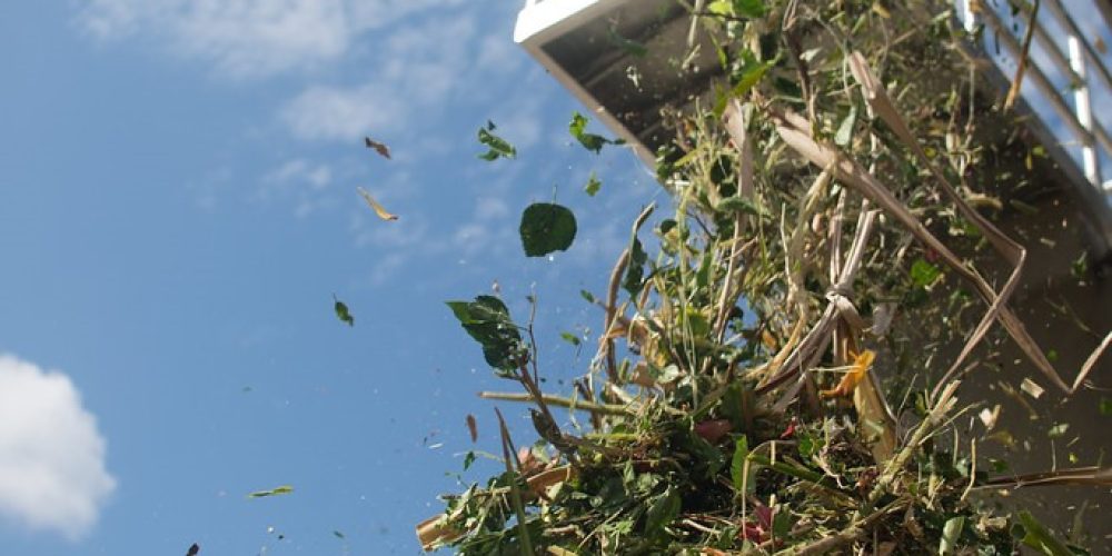 gestao-residuos-galeria (37) (Grande)