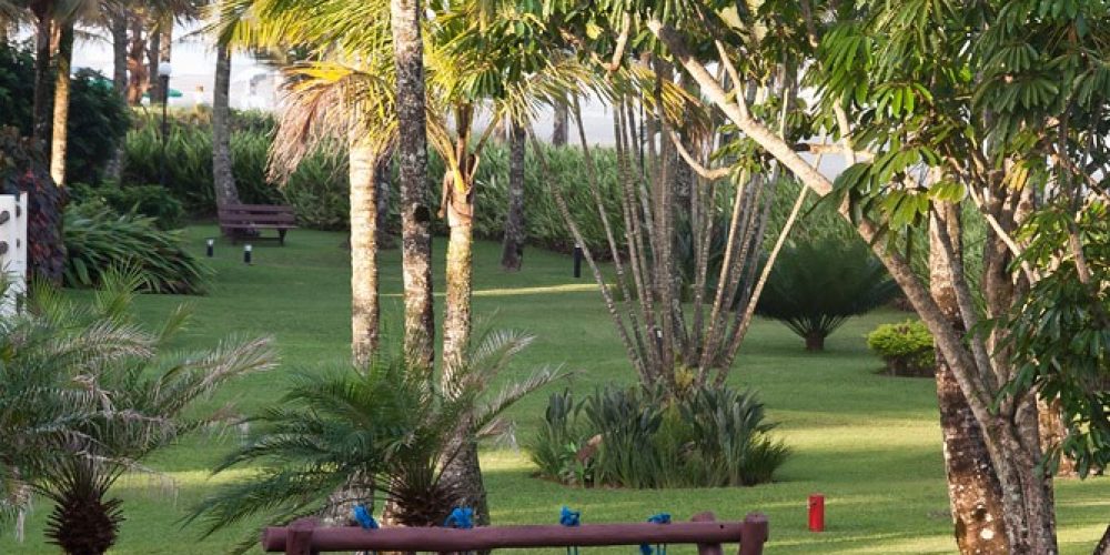 imagem-fotos-videos-estilo-vida (14) (Grande)