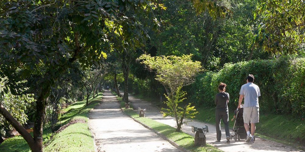 imagem-fotos-videos-estilo-vida (17) (Grande)