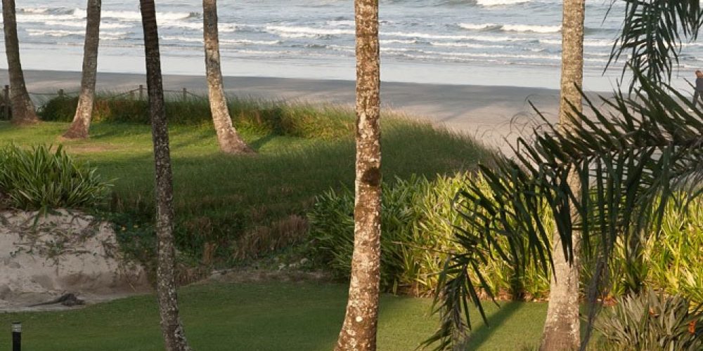 imagem-fotos-videos-estilo-vida (18) (Grande)