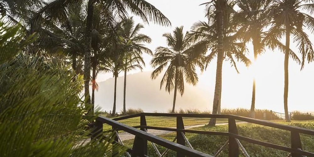 imagem-fotos-videos-estilo-vida (21) (Grande)