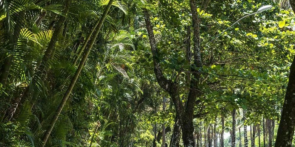 imagem-fotos-videos-estilo-vida (31) (Grande)