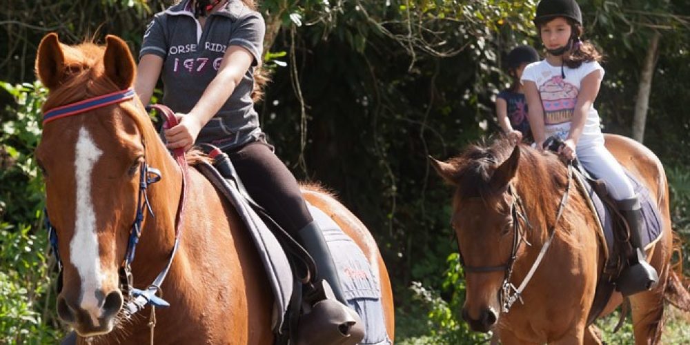 imagem-fotos-videos-estilo-vida (8) (Grande)