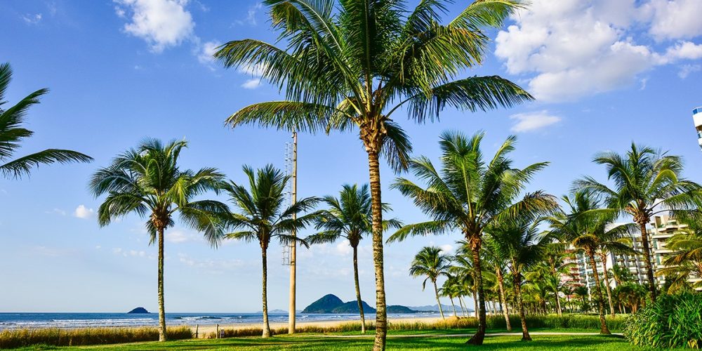 imagem-fotos-videos-galeria (11) (Grande)