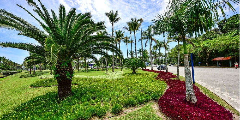 imagem-fotos-videos-galeria (19) (Grande)