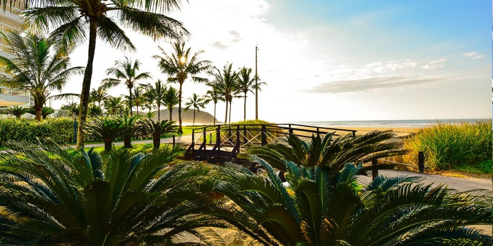 imagem-fotos-videos-galeria (26) (Grande)