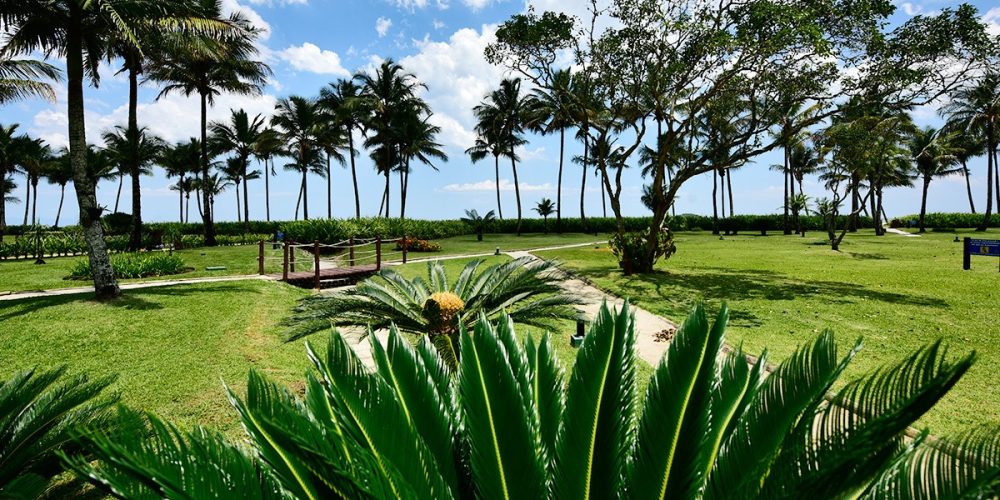 imagem-fotos-videos-galeria (9) (Grande)