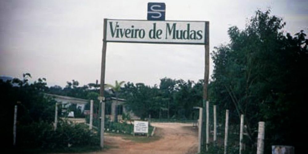 1990 - Entrada do viveiro de mudas da Riviera