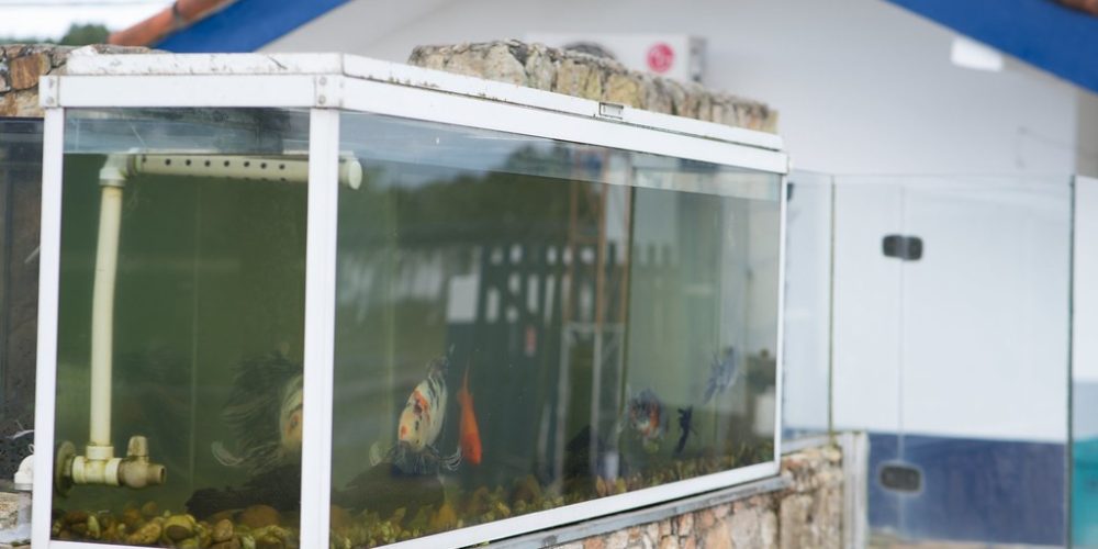 imagem-fotos-videos-saneamento (14) (Grande)