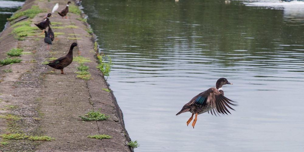 imagem-fotos-videos-saneamento (47) (Grande)