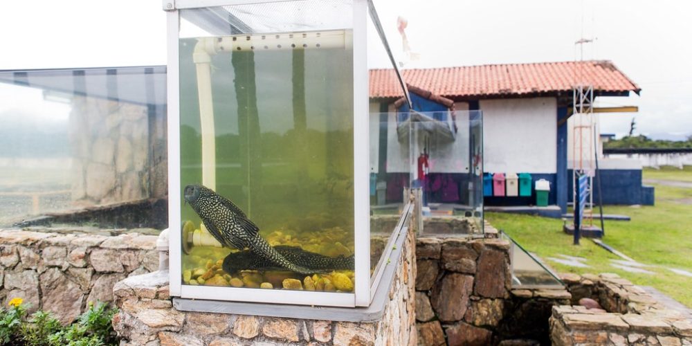 imagem-fotos-videos-saneamento (49) (Grande)