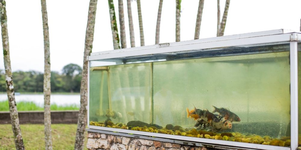 imagem-fotos-videos-saneamento (57) (Grande)