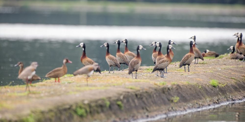 imagem-fotos-videos-saneamento (6) (Grande)