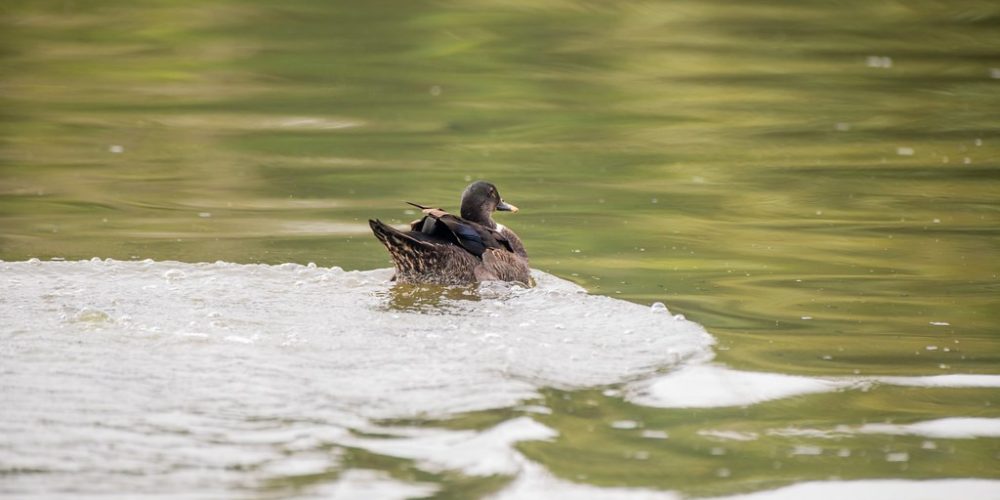 imagem-fotos-videos-saneamento (7) (Grande)