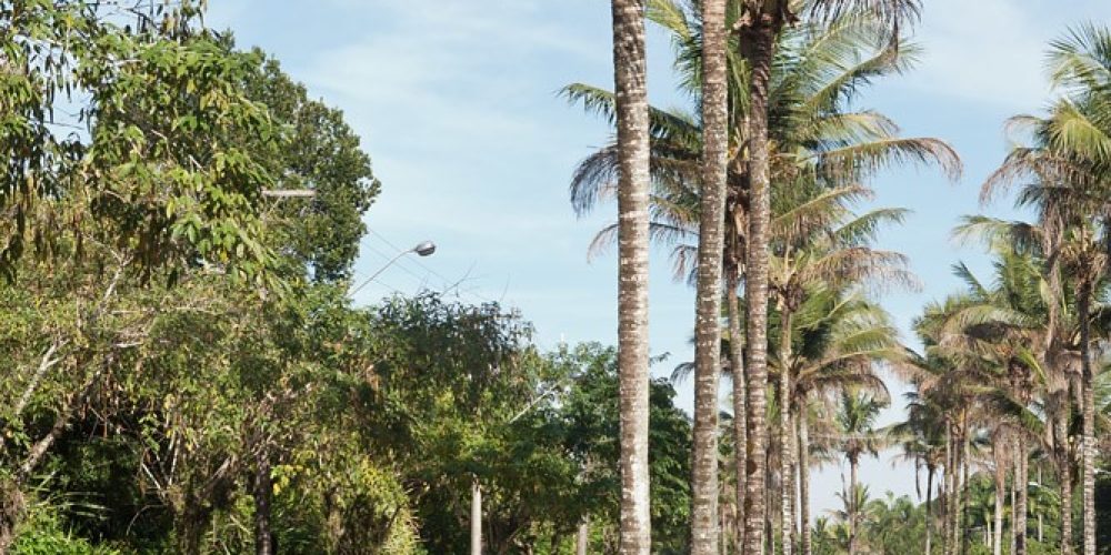 imagem-fotos-videos-urbana (16) (Grande)