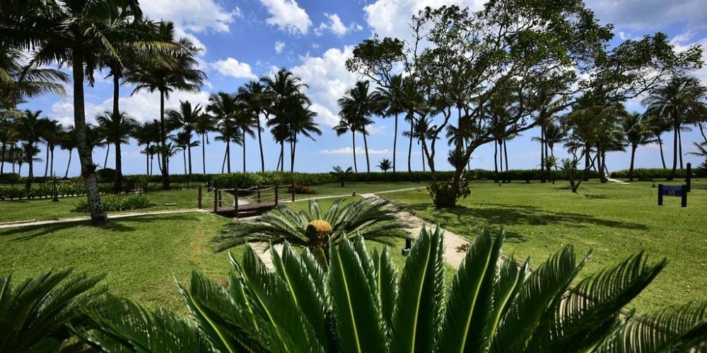 imagem-fotos-videos-urbana (17) (Grande)