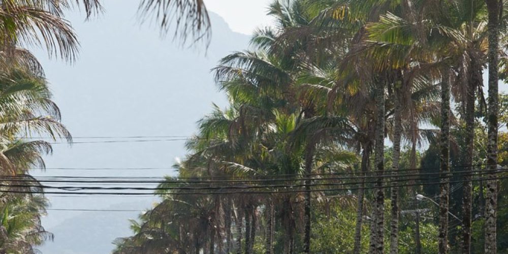 imagem-fotos-videos-urbana (2) (Grande)