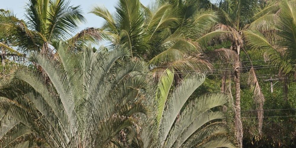 imagem-fotos-videos-urbana (5) (Grande)