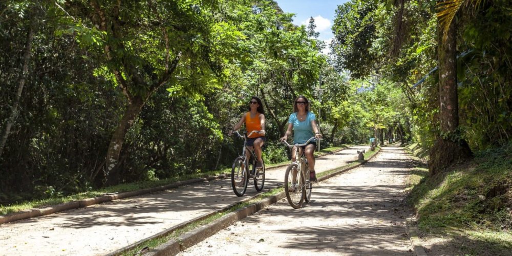 imagem-sobre-galeria (10) (Grande)