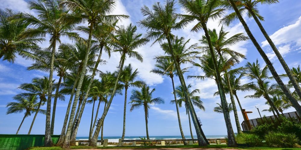 imagem-sobre-galeria (14) (Grande)