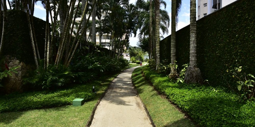 imagem-sobre-galeria (18) (Grande)