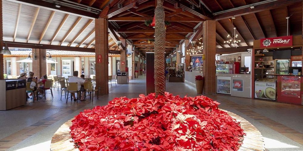 imagem-sobre-galeria (21) (Grande)