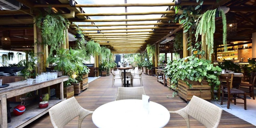 imagem-sobre-galeria (23) (Grande)