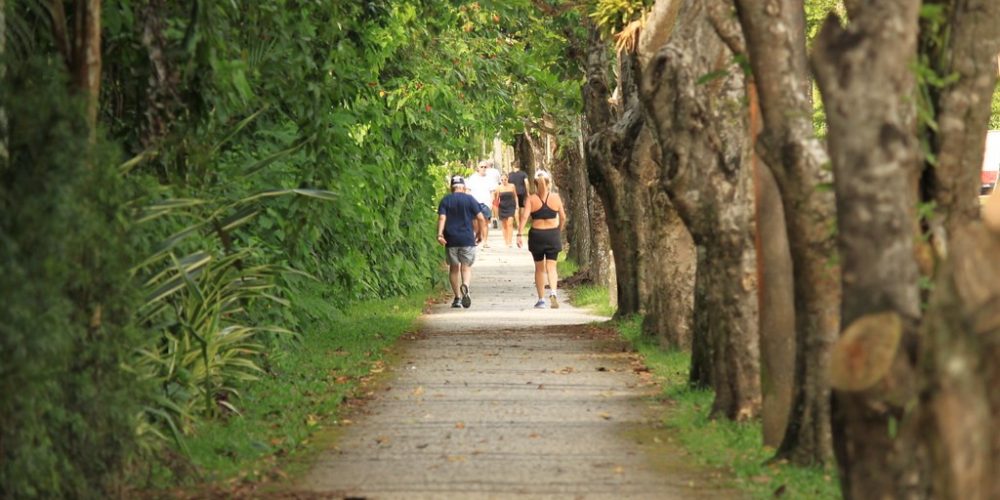 imagem-sobre-galeria (6) (Grande)