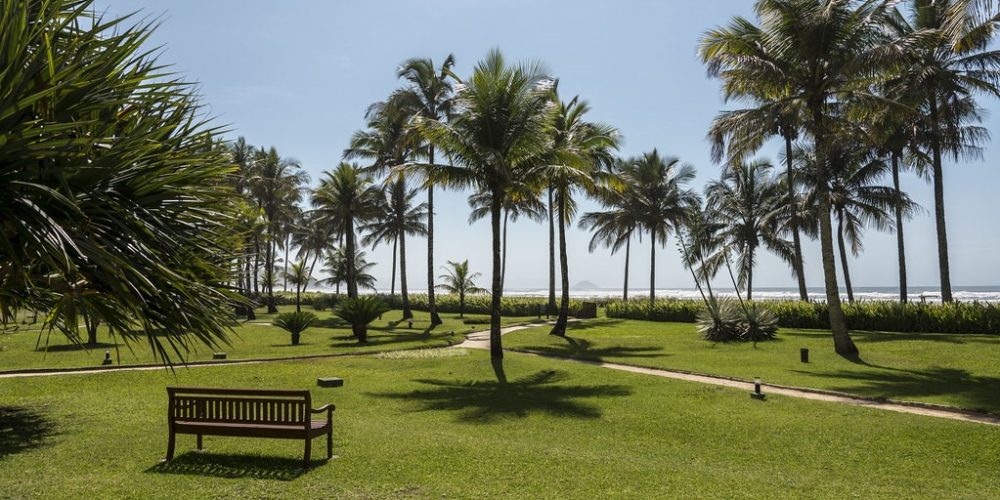 imagem-sobre-galeria (8) (Grande)