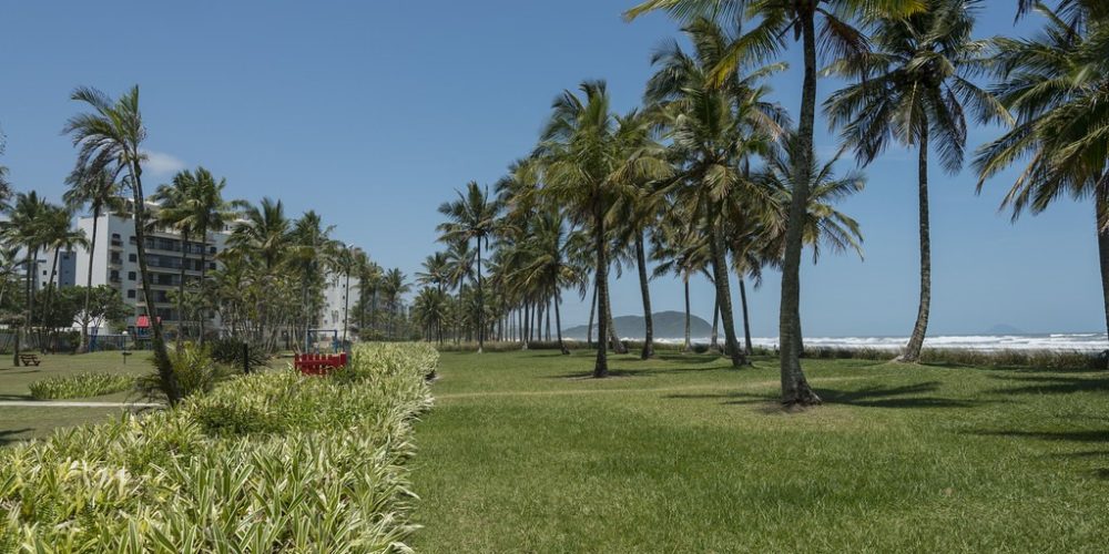 imagem-sobre-galeria (9) (Grande)